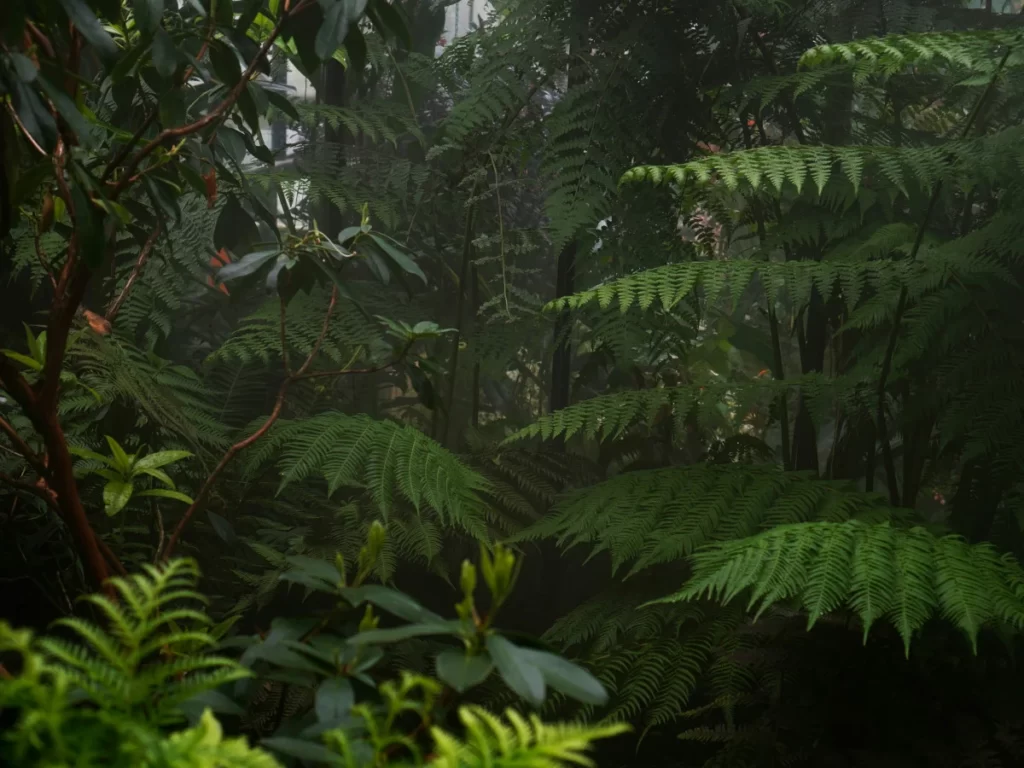 Nephrolepis exaltata low light indoor plants