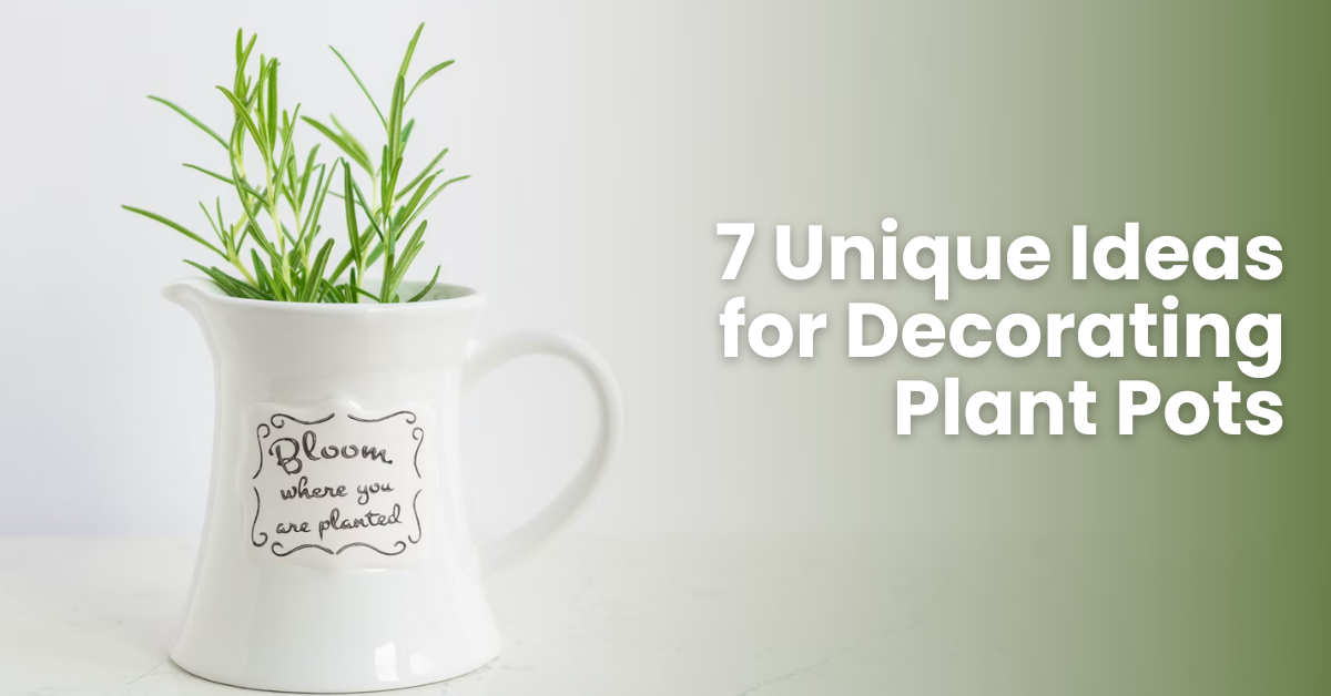 7 Unique Ideas for Decorating Plant Pots