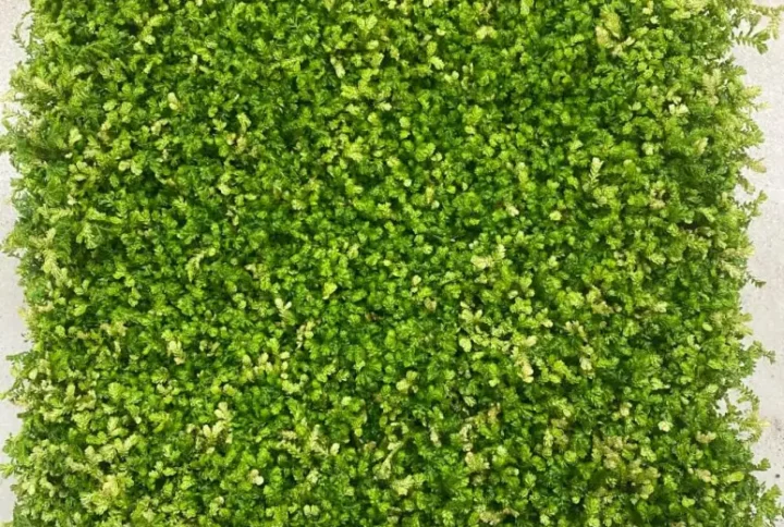 Spikemoss tile